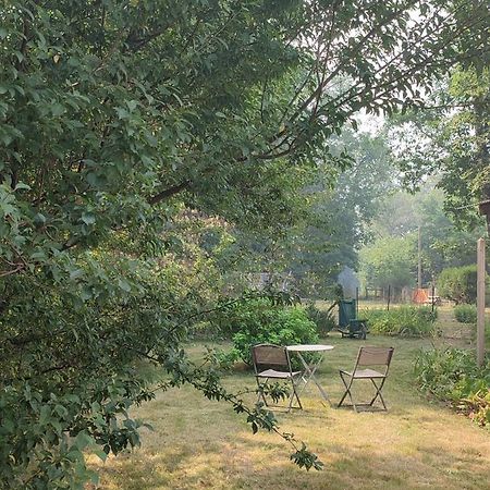 Chalet Dans La Foret....Adorable 1 Bedroom Chalet Surrounded By Woodland Pressignac Exterior foto